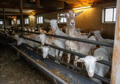 Klant aan het woord: "Het ging als een geoliede machine"