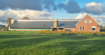 Reportage dakrenovatie Hooghalen