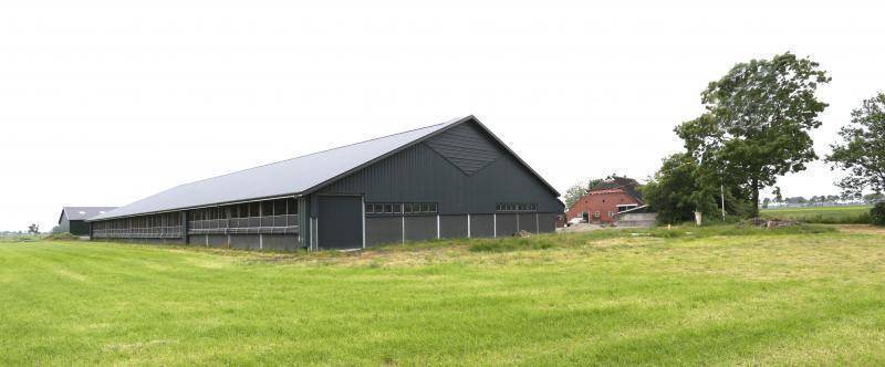 nieuw dak op koeienschuur