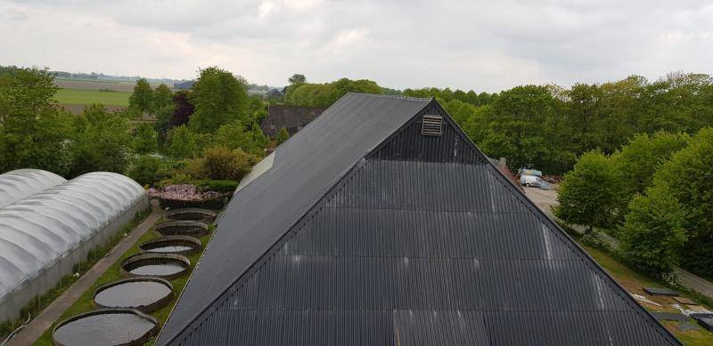 Renovatie viskwekerij