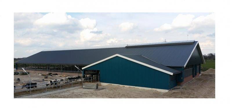 gekleurde koeienstal renovatie