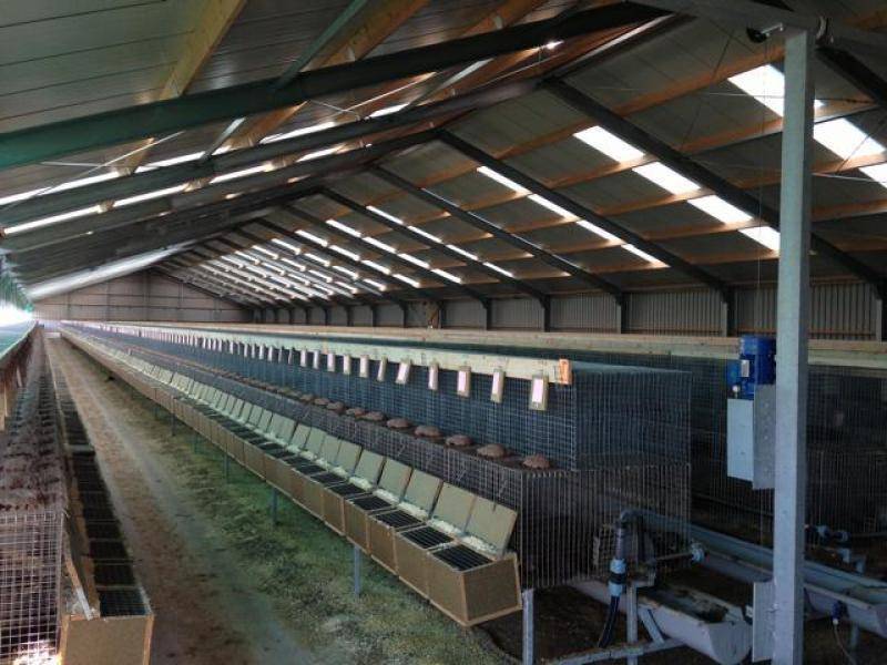 Nertsenstal renoveren 