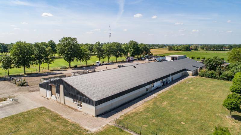 Renovatie golfplaten